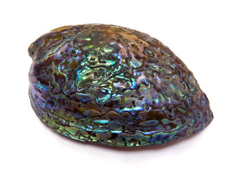 Similar image 11507910