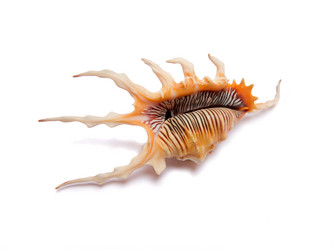 Similar image 11507911