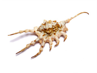 Similar image 11507912