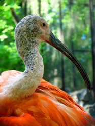 Similar image 11507917