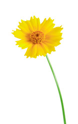 Similar image 11507929