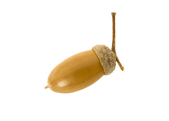 Similar image 11508010