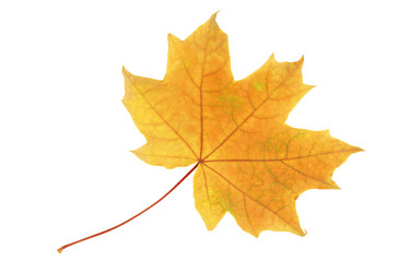 Similar image 11508011