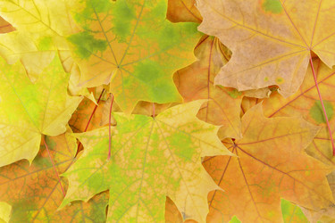 Similar image 11508013