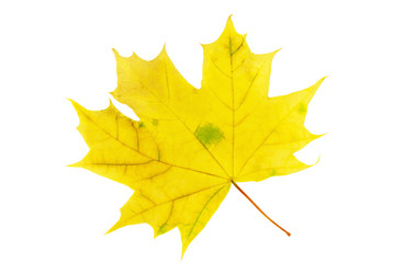 Similar image 11508018