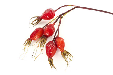 Similar image 11508019