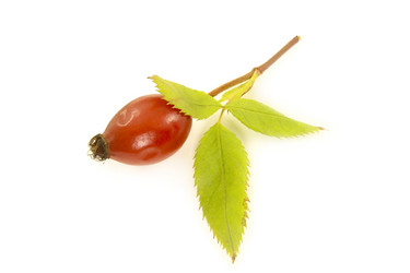 Similar image 11508027