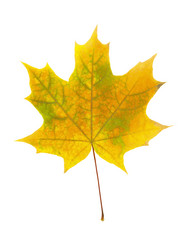 Similar image 11508028