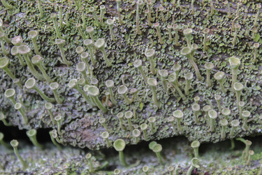 Similar image 11508031