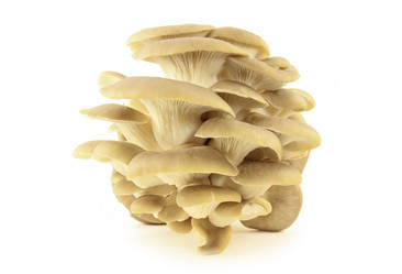 Similar image 11508032