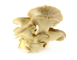 Similar image 11508043