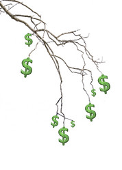 Similar image 11507979