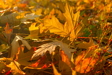 Similar image 11754050