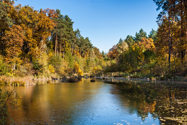 Similar image 11755389