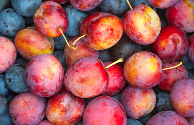 Similar image 11510724