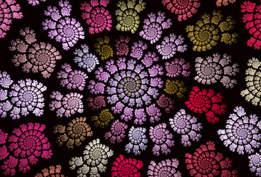 Similar image 11510725