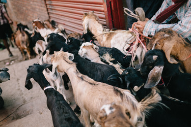 Similar image 11754733