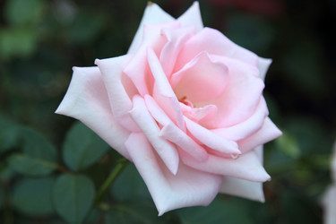 Similar image 11509493