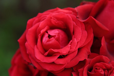 Similar image 11509494