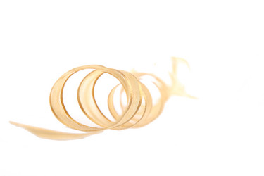 Similar image 11509483