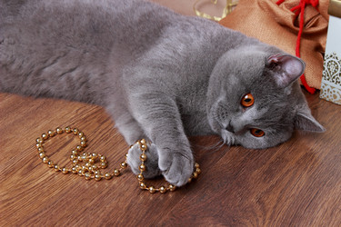 Similar image 11509380