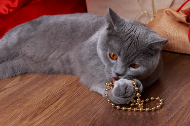 Similar image 11509402