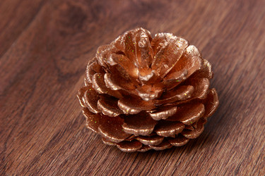 Similar image 11509403