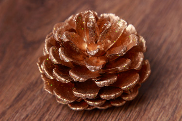 Similar image 11509404