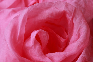 Similar image 11509478