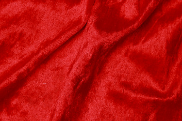 Similar image 11509497