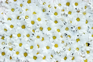 Similar image 11509553