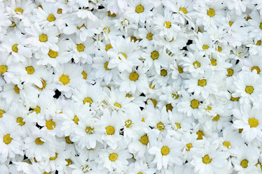 Similar image 11509567