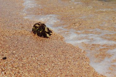 Similar image 11509381