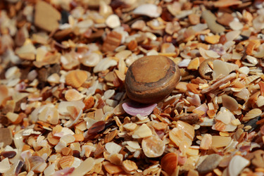 Similar image 11509509