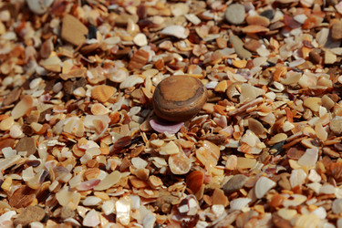 Similar image 11509519