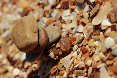 Similar image 11509535