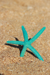 Similar image 11509626