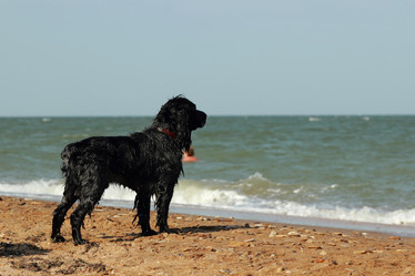 Similar image 11509520