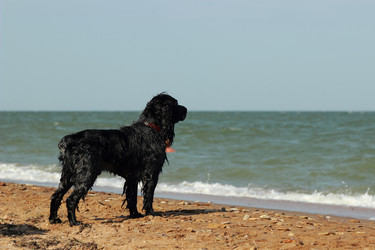 Similar image 11509521