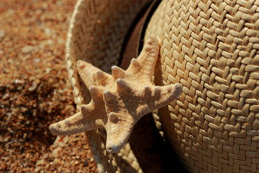 Similar image 11509523