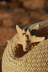 Similar image 11509524