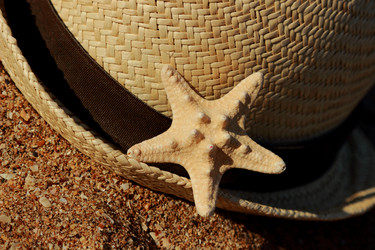 Similar image 11509525