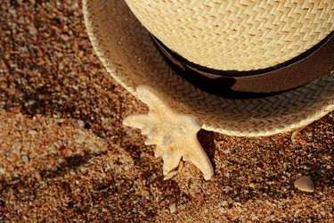 Similar image 11509527