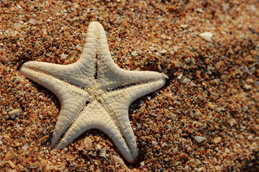 Similar image 11509537