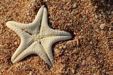 Similar image 11509538