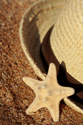 Similar image 11509587