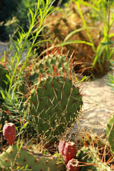 Similar image 11509414