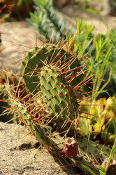 Similar image 11509415