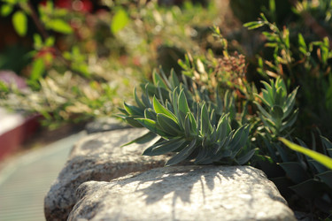 Similar image 11509416