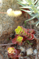 Similar image 11509417